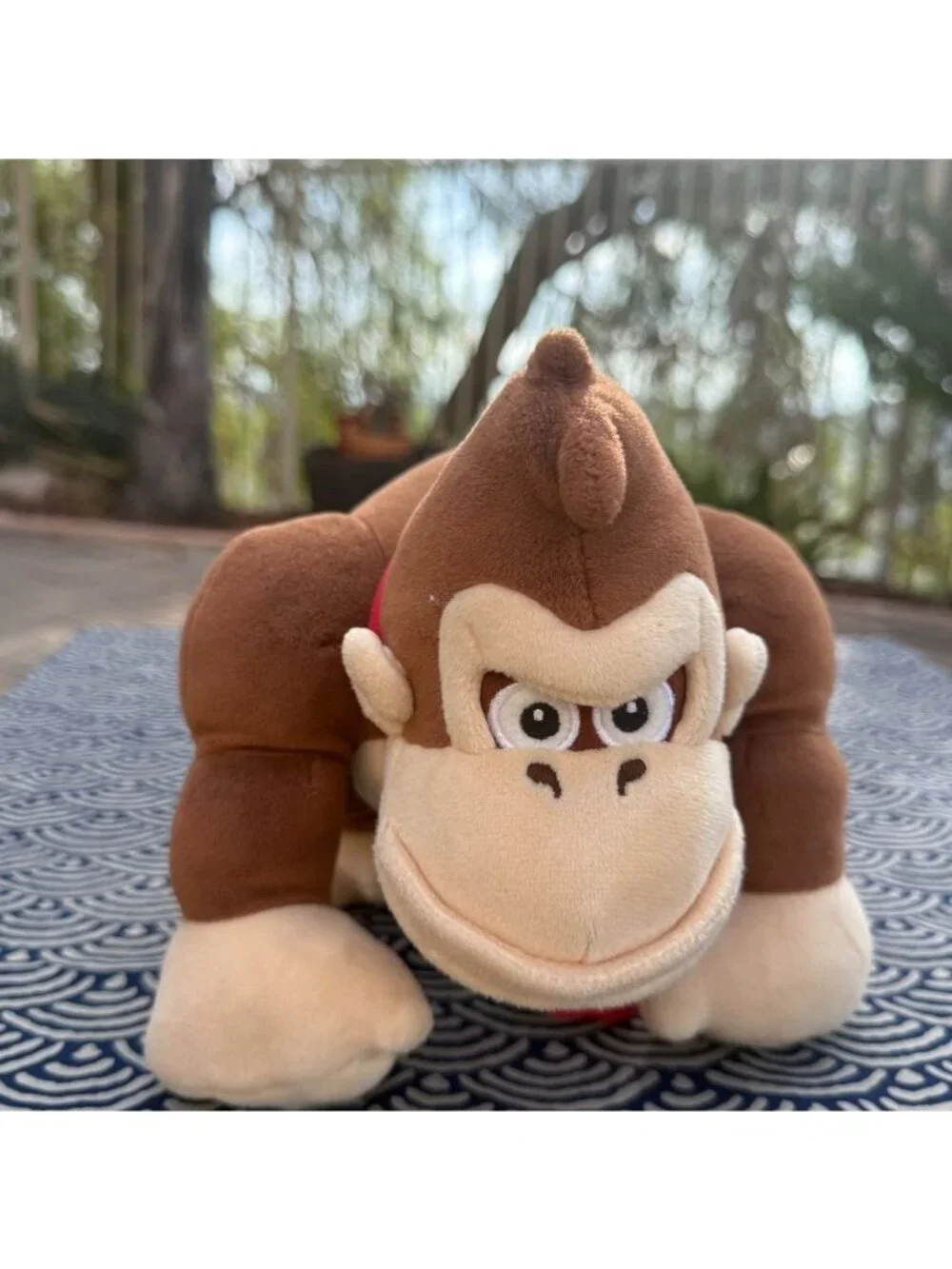 Donkey Kong 9